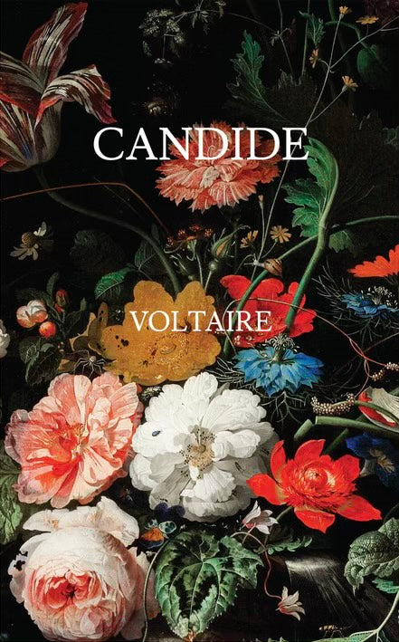 Candide Or Optimism