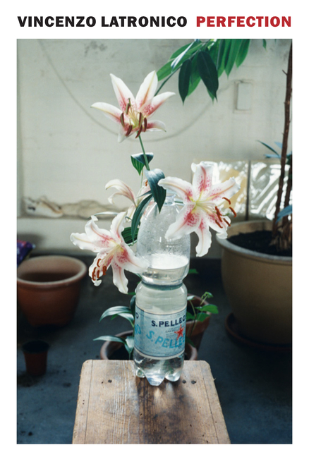 Perfection - AVAILABLE SOON